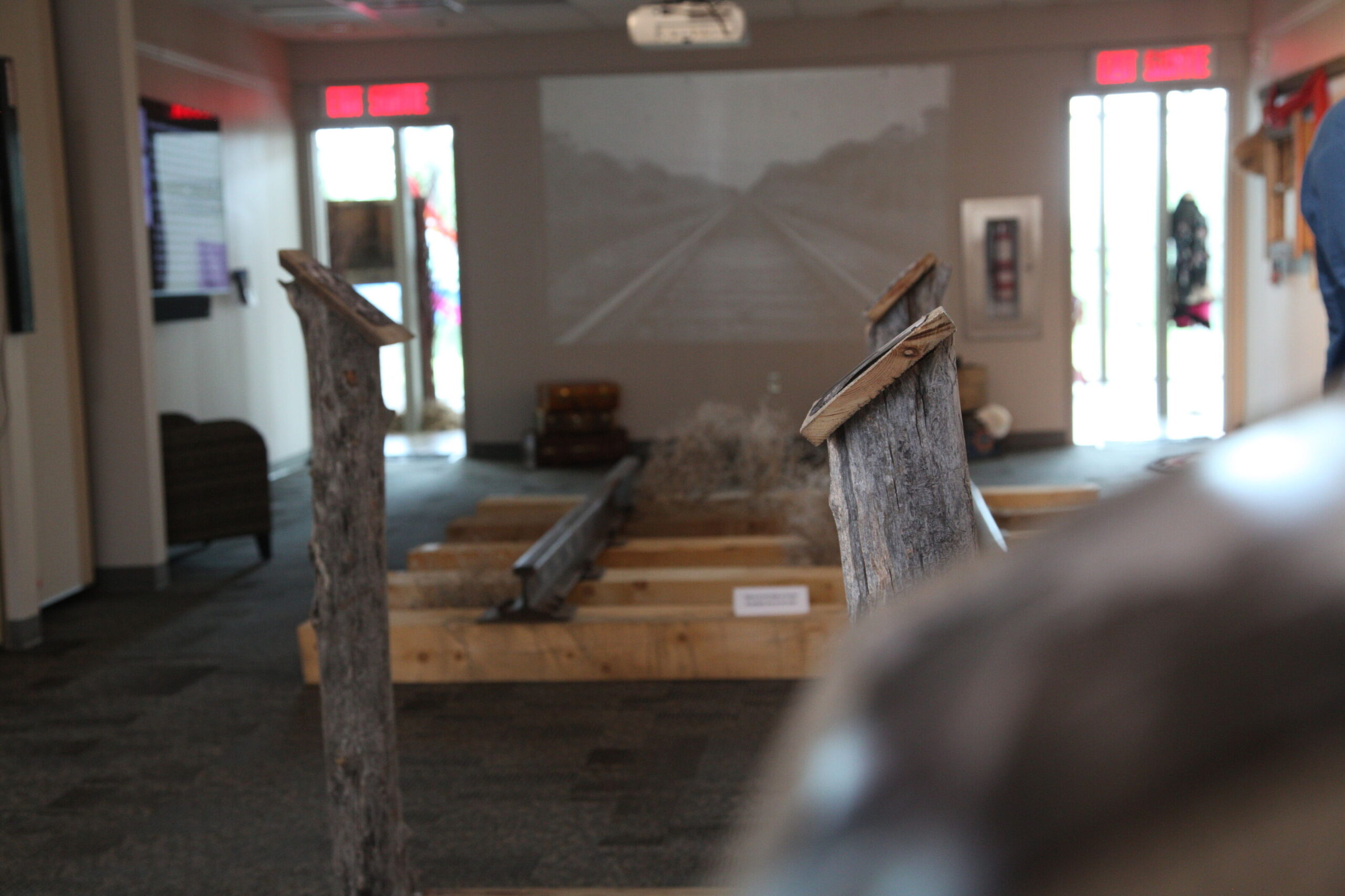 IMG_1387_optimized_2000